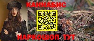 сатива Аргун