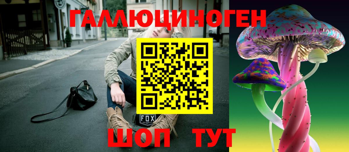 Псилоцибиновые грибы GOLDEN TEACHER Воркута
